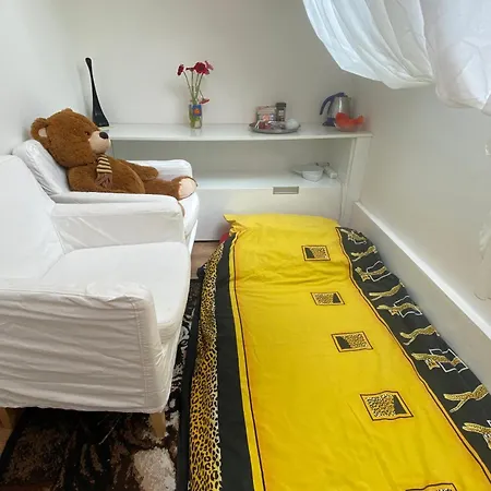 Solo Loft With Spectacular Views Homestay